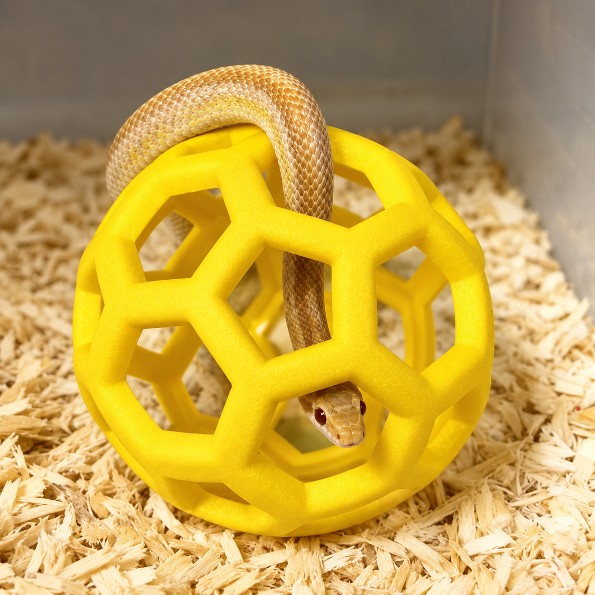 Petcendra SerpentSphere Reptile Climbing & Enrichment Ball