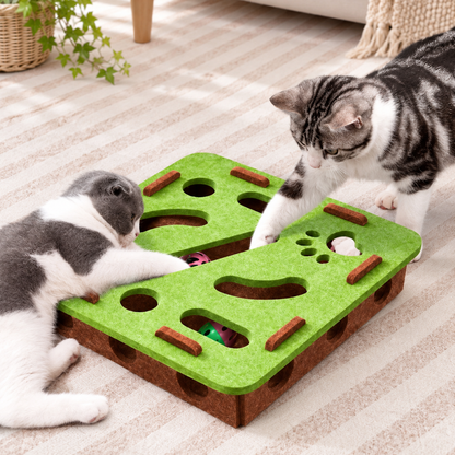 Petcendra The FelineHunt Premium Felt Interactive Puzzle Box