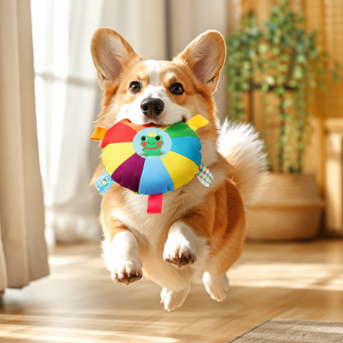 Petcendra PawJoy Rainbow Tug & Toss Dog Disc